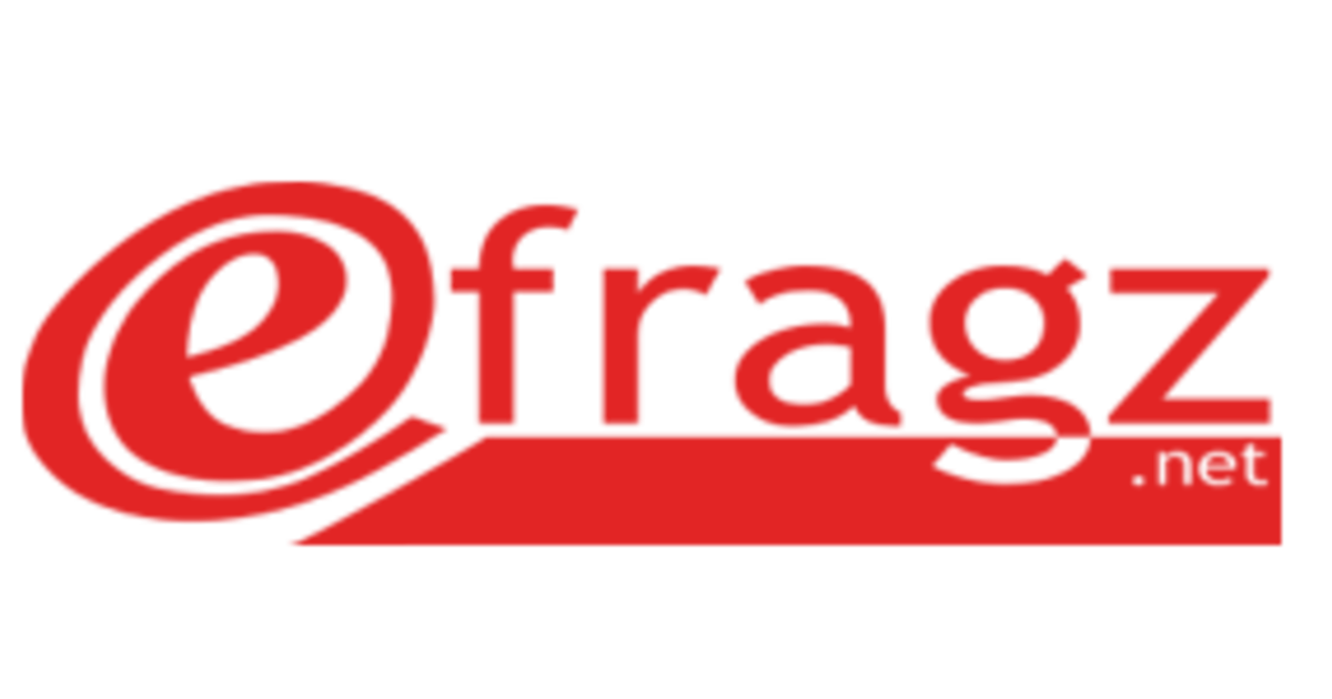 Icon for efragz.net